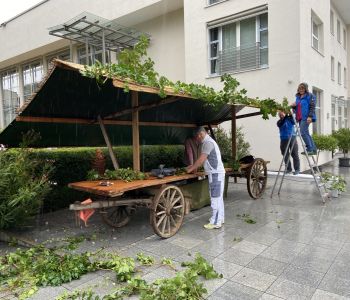 Empfehlenswerter Bienenweidekatalog