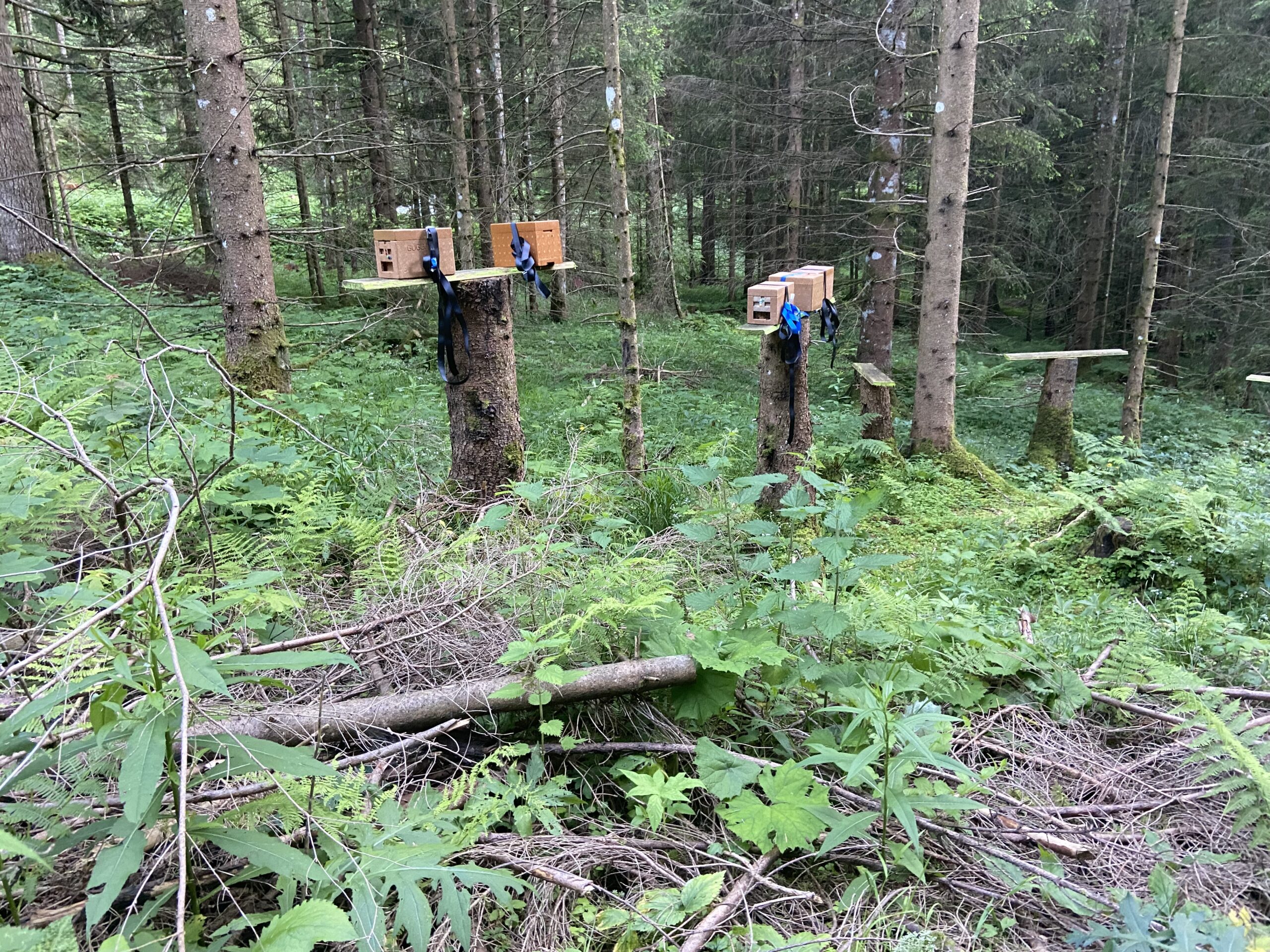 Standbegehung Belegstelle Wendelstein